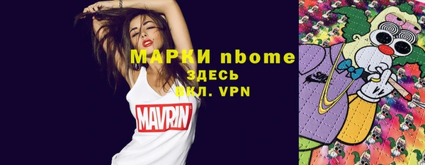 прущий лед Бородино