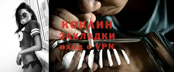 прущий лед Бородино
