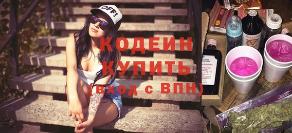 ПСИЛОЦИБИНОВЫЕ ГРИБЫ Вяземский