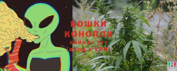 прущий лед Бородино