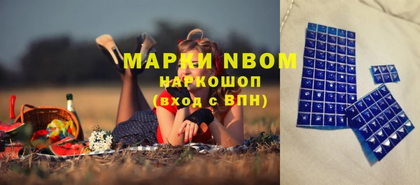 СК Бронницы
